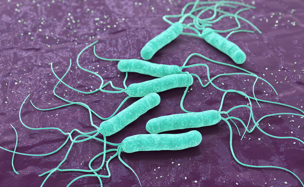 Babio uruchamia Filariasis IgG/IGM Szybki testowy zestaw do wsparcia globalnej diagnozy choroby filariuszy