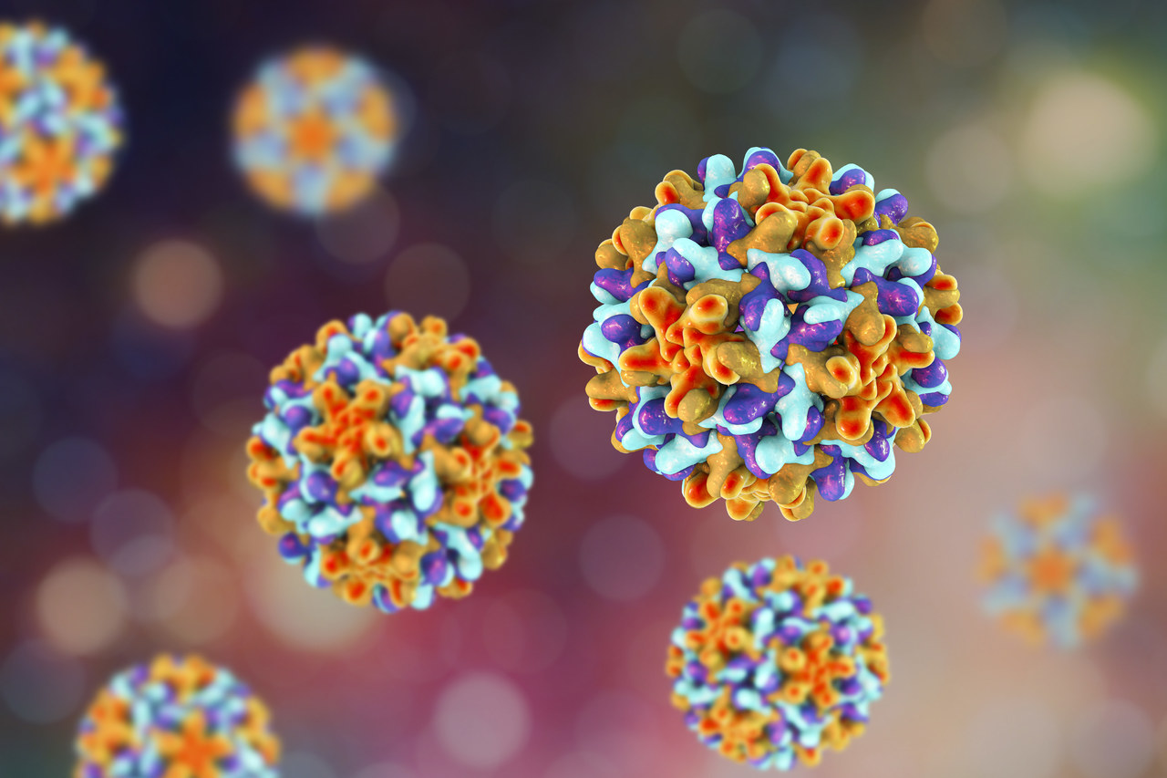 Babio wprowadza wysokowydajny zestaw do wykrywania antygenów adenovirus