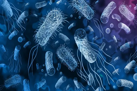 Babio uruchamia zestaw do wykrywania szybkiego antygenu Vibrio Cholerae
