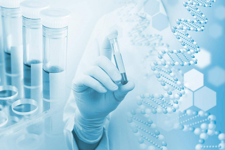 Agar Medium B (agar kazeinowo-sojowy z trawieniem) – niezawodny wybór w przypadku hodowli drobnoustrojów